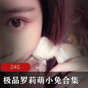 萌小兔美足系列作品合集，24G视频体验