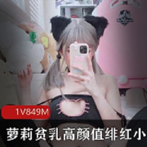 微博美少女绯红小猫高颜值腮红诱惑，视频合集849M！